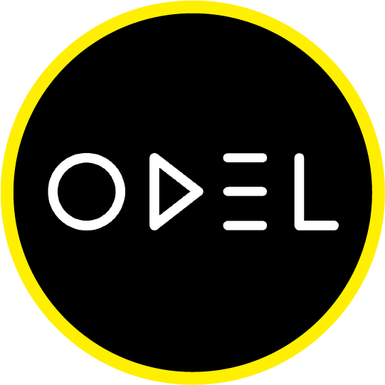 You are currently viewing Odel PLC